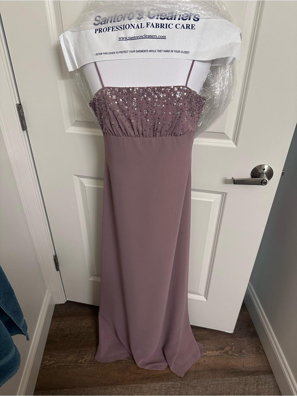 Alfred Angelo Raisin Evening Dress